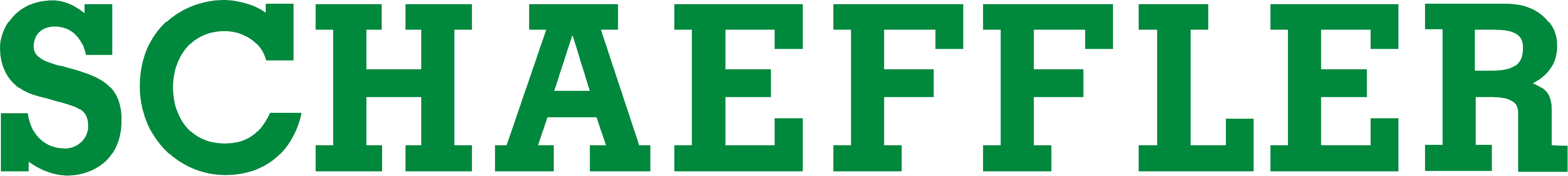 Logo from Schaeffler in original color