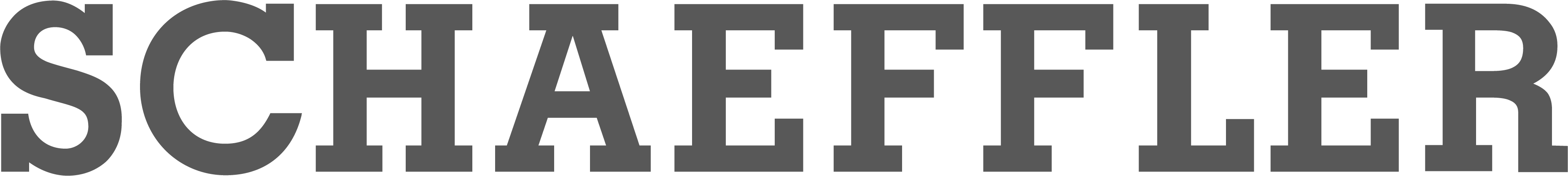 Logo from Schaeffler in gray color
